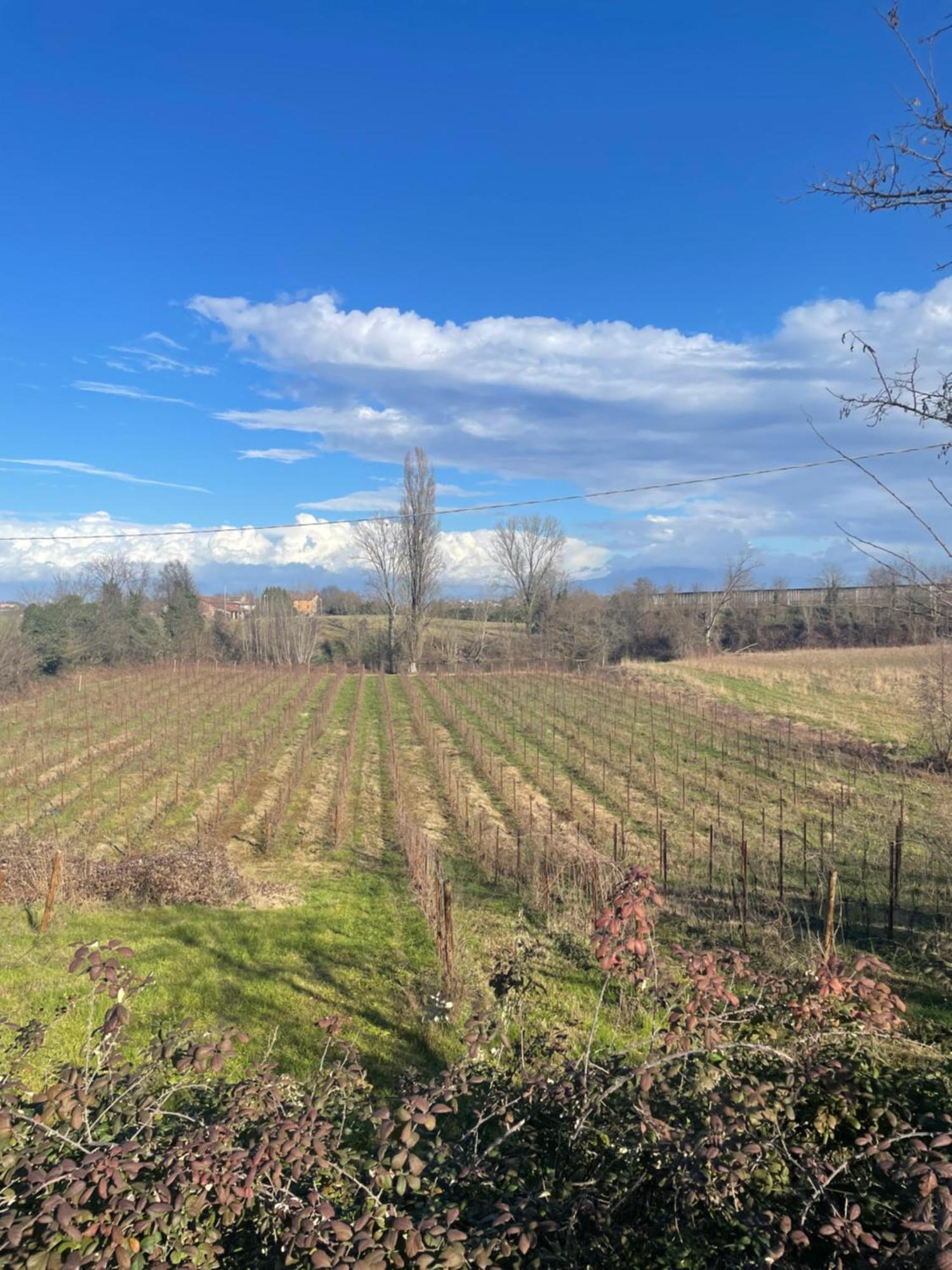 Agriturismo Con Cucina Tipica Nuova Scardua Cavriana Экстерьер фото