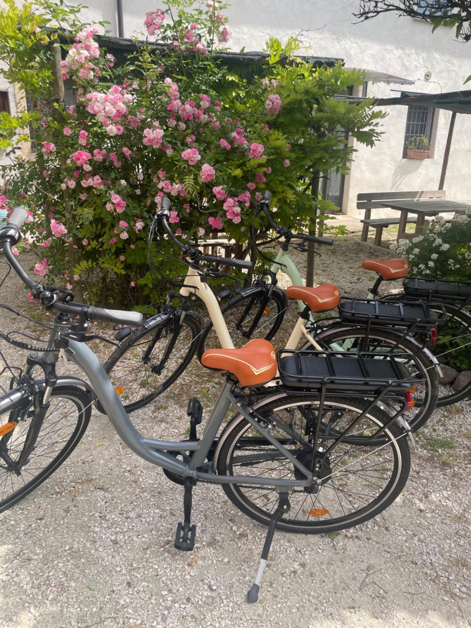 Agriturismo Con Cucina Tipica Nuova Scardua Cavriana Экстерьер фото